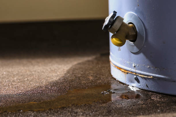 Carpet water damage restoration in Spring Grove, MN
