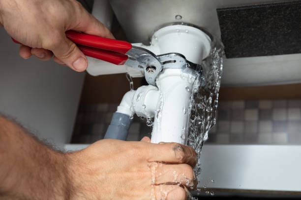 Best Flooded house restoration  in Spring Grove, MN