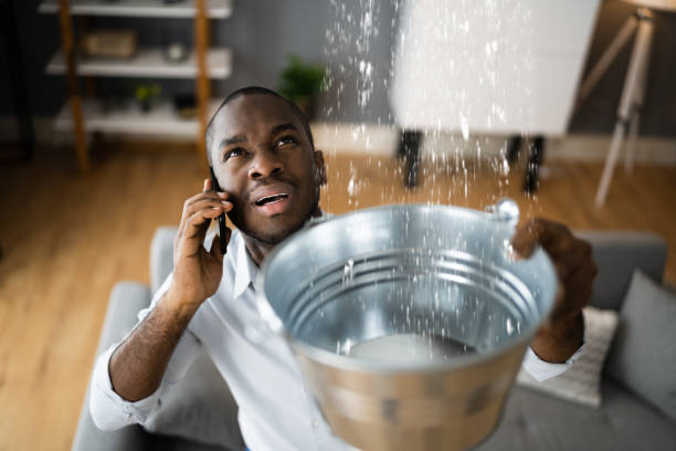 Professional Water damage restoration in Spring Grove, MN