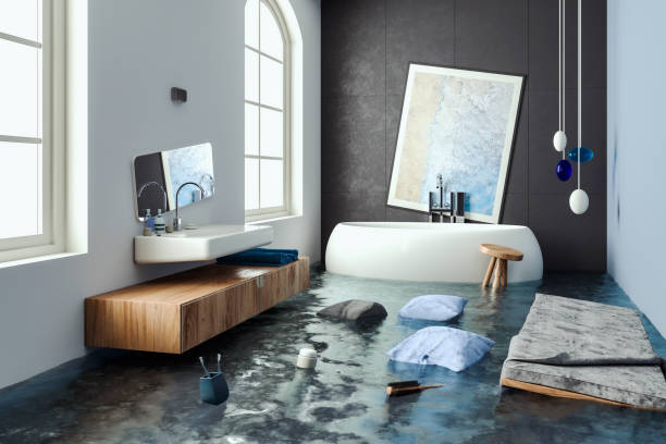 Best Flooded house restoration  in Spring Grove, MN