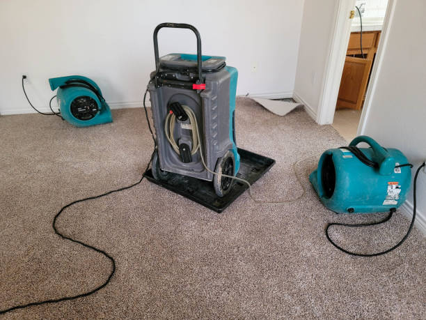 Trusted Spring Grove, MN Water damage restoration Experts
