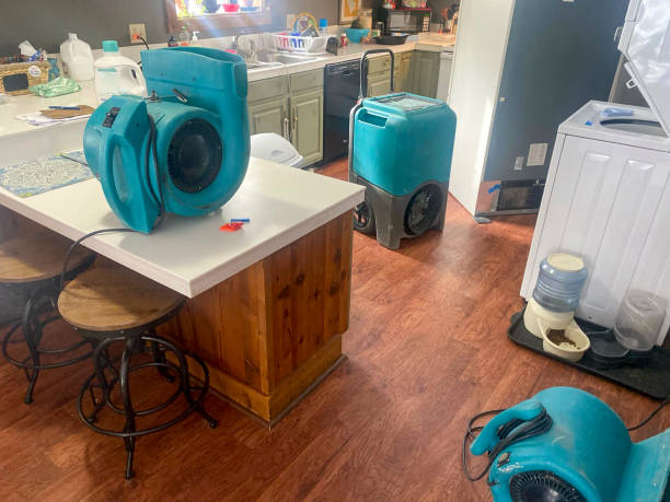 Best Flooded house restoration  in Spring Grove, MN