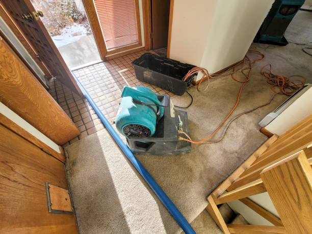 Best Water damage restoration near me  in Spring Grove, MN