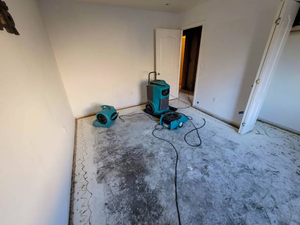 Best Professional water damage repair  in Spring Grove, MN