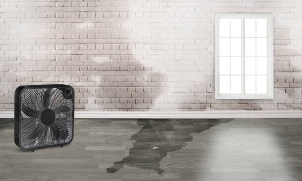 Water damage restoration insurance claims in Spring Grove, MN