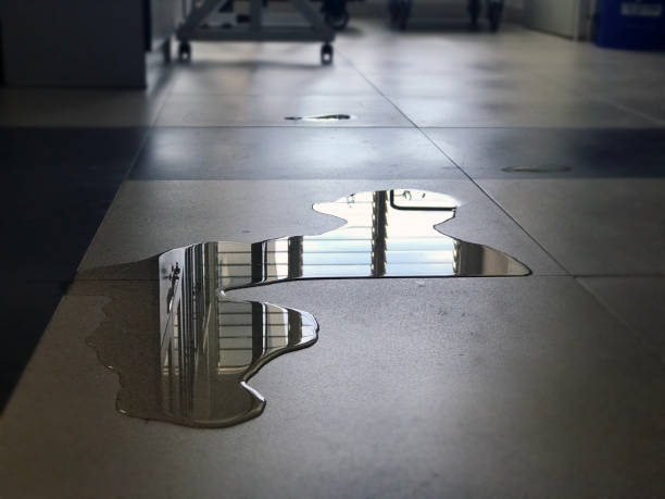 Best Water damage cleanup near me  in Spring Grove, MN