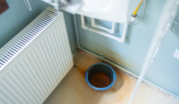 Best Water damage contractors near me  in Spring Grove, MN