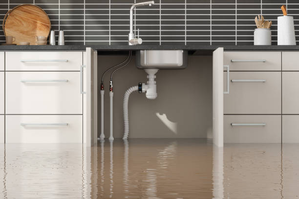 Best Fire Damage Restoration  in Spring Grove, MN