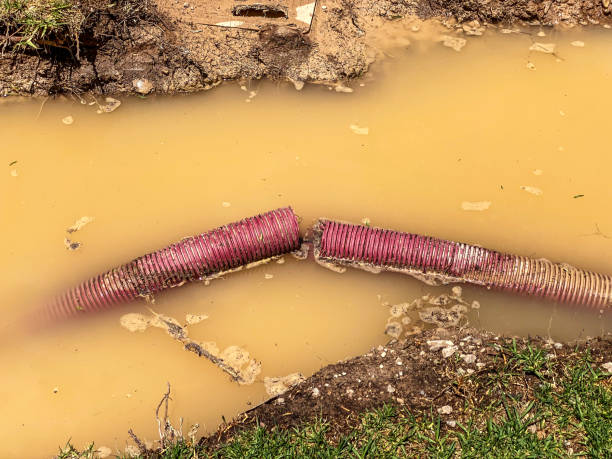 Best Residential water damage restoration  in Spring Grove, MN