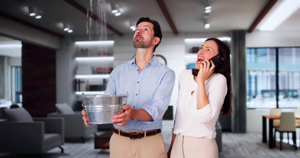 Best Water damage cleanup near me  in Spring Grove, MN